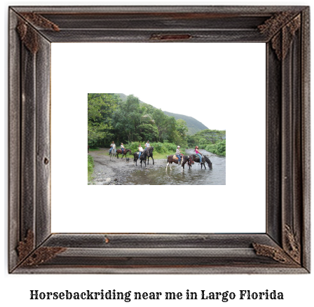 horseback riding near me in Largo, Florida